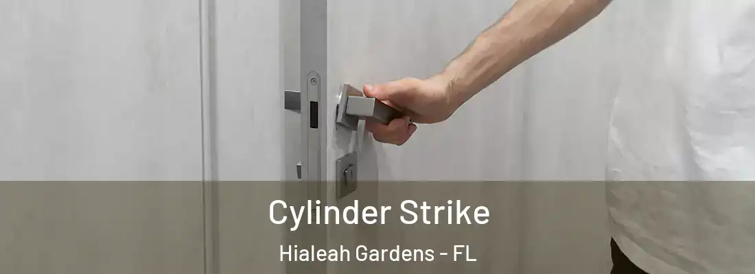  Cylinder Strike Hialeah Gardens - FL